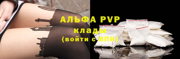 экстази Ельня