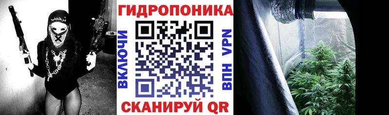 где купить наркоту  Кашин  МАРИХУАНА Bruce Banner 